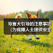 导盲犬引导的注意事项（为视障人士提供安全和自由的关键）（图3）