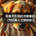 导盲犬引导的注意事项（为视障人士提供安全和自由的关键）（图4）