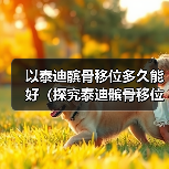 以泰迪髌骨移位多久能好(探究泰迪髌骨移位康复时间,了解关键因素与治疗方法)(图1) 以泰迪髌骨移位多久能好(探究泰迪髌骨移位康复时间,了解关键因素与治疗方法)(图1)
