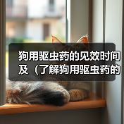 狗用驱虫药的见效时间及（了解狗用驱虫药的见效时间，保护宠物健康）（图1）