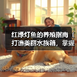 红绿灯鱼的养殖指南（打造美丽水族箱，掌握红绿灯鱼的养殖技巧）（图3）