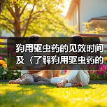 狗用驱虫药的见效时间及（了解狗用驱虫药的见效时间，保护宠物健康）（图4）