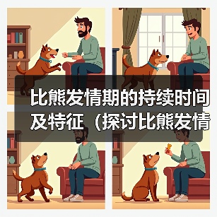 比熊发情期的持续时间及特征（探讨比熊发情期的周期和行为变化）（图3）