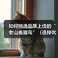 如何挑选品质上佳的“老山画眉鸟”(选择优质画眉鸟的关键技巧及养护要点)(图4) 如何挑选品质上佳的“老山画眉鸟”(选择优质画眉鸟的关键技巧及养护要点)(图4)