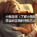 小狗育苗(了解小狗狗育苗的正确时间和方法,确保它们的健康成长)(图3) 小狗育苗(了解小狗狗育苗的正确时间和方法,确保它们的健康成长)(图3)