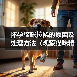怀孕猫咪拉稀的原因及处理方法(观察猫咪精神状态,细心呵护怀孕宝贝)(图4) 怀孕猫咪拉稀的原因及处理方法(观察猫咪精神状态,细心呵护怀孕宝贝)(图4)