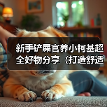新手铲屎官养小柯基超全好物分享(打造舒适快乐的小柯基生活,新手铲屎官必备好物大揭秘!)(图1) 新手铲屎官养小柯基超全好物分享(打造舒适快乐的小柯基生活,新手铲屎官必备好物大揭秘!)(图1)