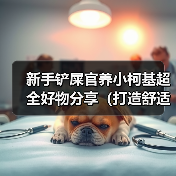 新手铲屎官养小柯基超全好物分享(打造舒适快乐的小柯基生活,新手铲屎官必备好物大揭秘!)(图2) 新手铲屎官养小柯基超全好物分享(打造舒适快乐的小柯基生活,新手铲屎官必备好物大揭秘!)(图2)