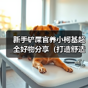 新手铲屎官养小柯基超全好物分享(打造舒适快乐的小柯基生活,新手铲屎官必备好物大揭秘!)(图4) 新手铲屎官养小柯基超全好物分享(打造舒适快乐的小柯基生活,新手铲屎官必备好物大揭秘!)(图4)
