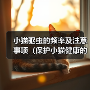 小猫驱虫的频率及注意事项(保护小猫健康的关键措施、体内外驱虫的正确时间表)(图2) 小猫驱虫的频率及注意事项(保护小猫健康的关键措施、体内外驱虫的正确时间表)(图2)
