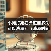 小狗打完狂犬疫苗多久可以洗澡？（洗澡时间和注意事项）（图2）