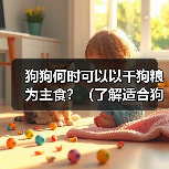 狗狗何时可以以干狗粮为主食?(了解适合狗狗转换至干狗粮的最佳时机)(图3) 狗狗何时可以以干狗粮为主食?(了解适合狗狗转换至干狗粮的最佳时机)(图3)