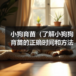 小狗育苗(了解小狗狗育苗的正确时间和方法,确保它们的健康成长)(图4) 小狗育苗(了解小狗狗育苗的正确时间和方法,确保它们的健康成长)(图4)