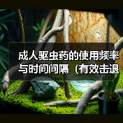 成人驱虫药的使用频率与时间间隔(有效击退寄生虫的关键是合理用药和定期服用)(图4) 成人驱虫药的使用频率与时间间隔(有效击退寄生虫的关键是合理用药和定期服用)(图4)