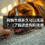 狗狗生后多久可以洗澡?(了解适合狗狗洗澡的最佳时间及注意事项)(图4) 狗狗生后多久可以洗澡?(了解适合狗狗洗澡的最佳时间及注意事项)(图4)