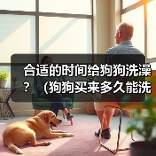 合适的时间给狗狗洗澡?(狗狗买来多久能洗澡?)(图1) 合适的时间给狗狗洗澡?(狗狗买来多久能洗澡?)(图1)