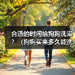 合适的时间给狗狗洗澡?(狗狗买来多久能洗澡?)(图2) 合适的时间给狗狗洗澡?(狗狗买来多久能洗澡?)(图2)