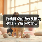 狗狗肝炎的症状及相关信息（了解肝炎症状，保护你的爱犬健康）（图4）