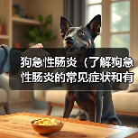 狗急性肠炎(了解狗急性肠炎的常见症状和有效的治疗方法)(图3) 狗急性肠炎(了解狗急性肠炎的常见症状和有效的治疗方法)(图3)