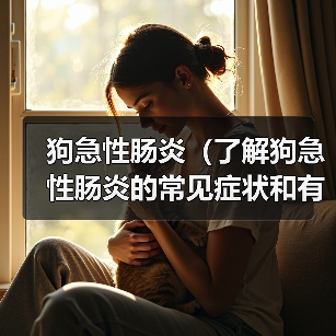 狗急性肠炎(了解狗急性肠炎的常见症状和有效的治疗方法)(图1) 狗急性肠炎(了解狗急性肠炎的常见症状和有效的治疗方法)(图1)
