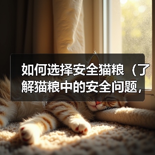 如何选择安全猫粮（了解猫粮中的安全问题，保护你的猫咪健康）（图4）