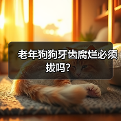 老年狗狗牙齿腐烂必须拔吗?(图1) 老年狗狗牙齿腐烂必须拔吗?(图1)