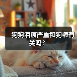 狗狗泪痕严重和狗粮有关吗？（图2）
