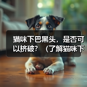 猫咪下巴黑头，是否可以挤破？（了解猫咪下巴黑头的成因及处理方法）（图2）