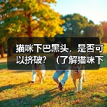 猫咪下巴黑头，是否可以挤破？（了解猫咪下巴黑头的成因及处理方法）（图3）