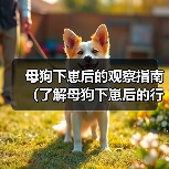 母狗下崽后的观察指南（了解母狗下崽后的行为与需求，帮助你更好地照顾她）（图1）