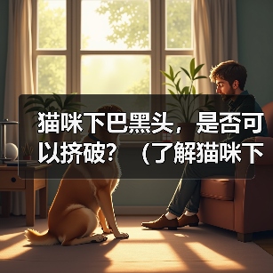 猫咪下巴黑头，是否可以挤破？（了解猫咪下巴黑头的成因及处理方法）（图4）