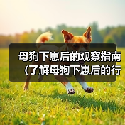 母狗下崽后的观察指南（了解母狗下崽后的行为与需求，帮助你更好地照顾她）（图3）