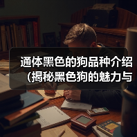 通体黑色的狗品种介绍（揭秘黑色狗的魅力与特点）（图1）