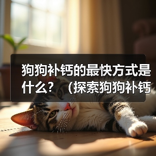 狗狗补钙的最快方式是什么？（探索狗狗补钙的有效方法，让您的狗狗健康成长）（图1）