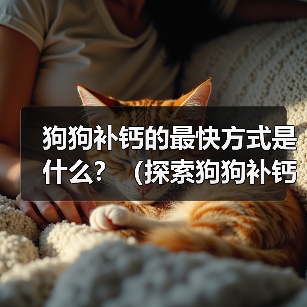 狗狗补钙的最快方式是什么？（探索狗狗补钙的有效方法，让您的狗狗健康成长）（图4）
