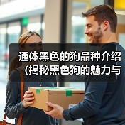 通体黑色的狗品种介绍（揭秘黑色狗的魅力与特点）（图3）