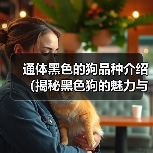 通体黑色的狗品种介绍（揭秘黑色狗的魅力与特点）（图2）