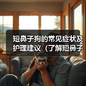 短鼻子狗的常见症状及护理建议(了解短鼻子狗的身体特征和健康问题,保护它们的呼吸和舒适度)(图4) 短鼻子狗的常见症状及护理建议(了解短鼻子狗的身体特征和健康问题,保护它们的呼吸和舒适度)(图4)