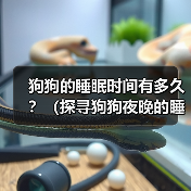 狗狗的睡眠时间有多久？（探寻狗狗夜晚的睡眠习惯与需求）（图3）
