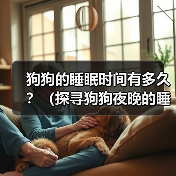 狗狗的睡眠时间有多久？（探寻狗狗夜晚的睡眠习惯与需求）（图4）