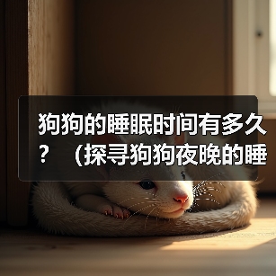 狗狗的睡眠时间有多久？（探寻狗狗夜晚的睡眠习惯与需求）（图1）