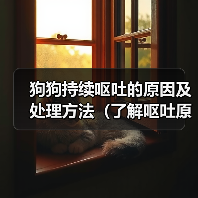 狗狗持续呕吐的原因及处理方法（了解呕吐原因，保护爱宠健康）（图3）
