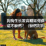 狗狗生长发育期如何保证不缺钙?(缺钙对狗狗生长发育的影响及预防方法)(图1) 狗狗生长发育期如何保证不缺钙?(缺钙对狗狗生长发育的影响及预防方法)(图1)