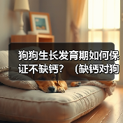 狗狗生长发育期如何保证不缺钙?(缺钙对狗狗生长发育的影响及预防方法)(图2) 狗狗生长发育期如何保证不缺钙?(缺钙对狗狗生长发育的影响及预防方法)(图2)