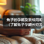 兔子的孕期及繁殖周期（了解兔子孕期长短及如何繁殖）（图1）