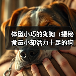 体型小巧的狗狗（揭秘食量小却活力十足的狗狗品种）（图4）
