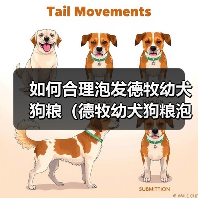 如何合理泡发德牧幼犬狗粮(德牧幼犬狗粮泡发的时间与方法)(图2) 如何合理泡发德牧幼犬狗粮(德牧幼犬狗粮泡发的时间与方法)(图2)