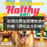 如何合理泡发德牧幼犬狗粮(德牧幼犬狗粮泡发的时间与方法)(图3) 如何合理泡发德牧幼犬狗粮(德牧幼犬狗粮泡发的时间与方法)(图3)