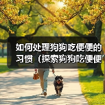 如何处理狗狗吃便便的习惯（探索狗狗吃便便的原因及有效的解决方法）（图2）