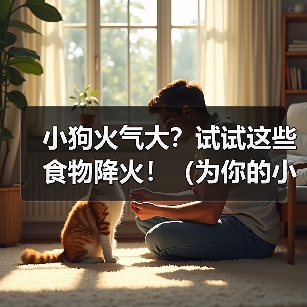 小狗火气大？试试这些食物降火！（为你的小狗选择适合的食物，舒缓体内火气的秘诀）（图4）